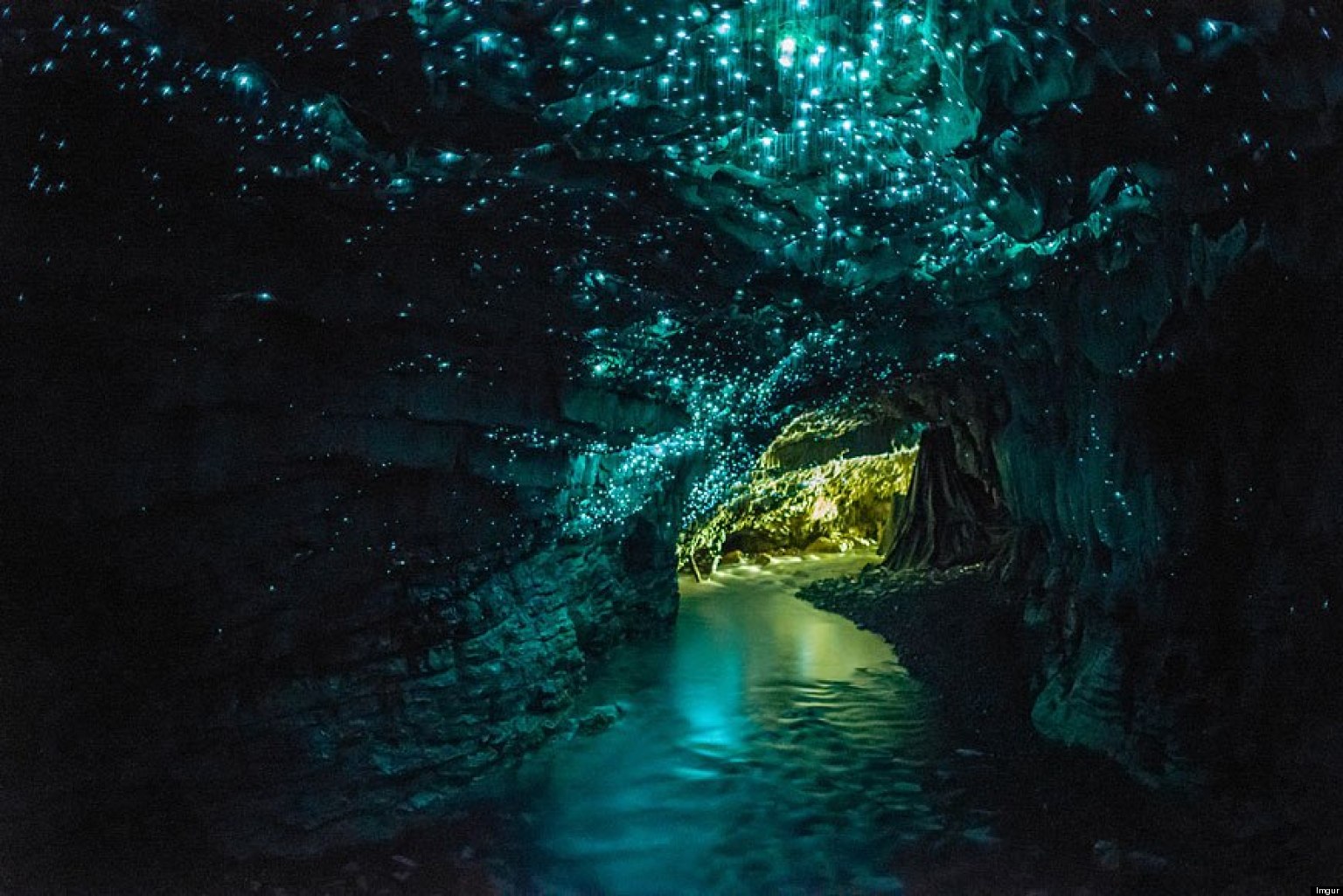 Waitomo Caves