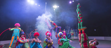 Zirka Circus
