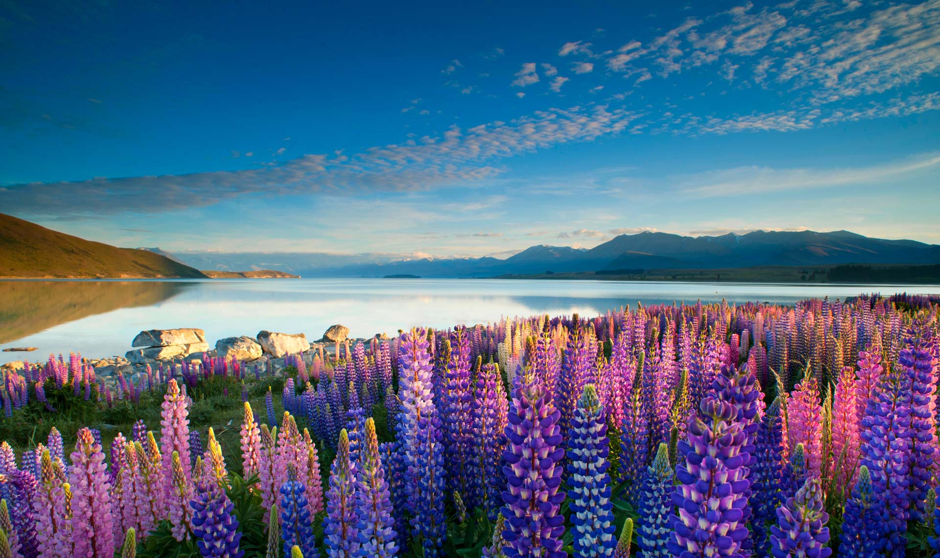 Christchurch